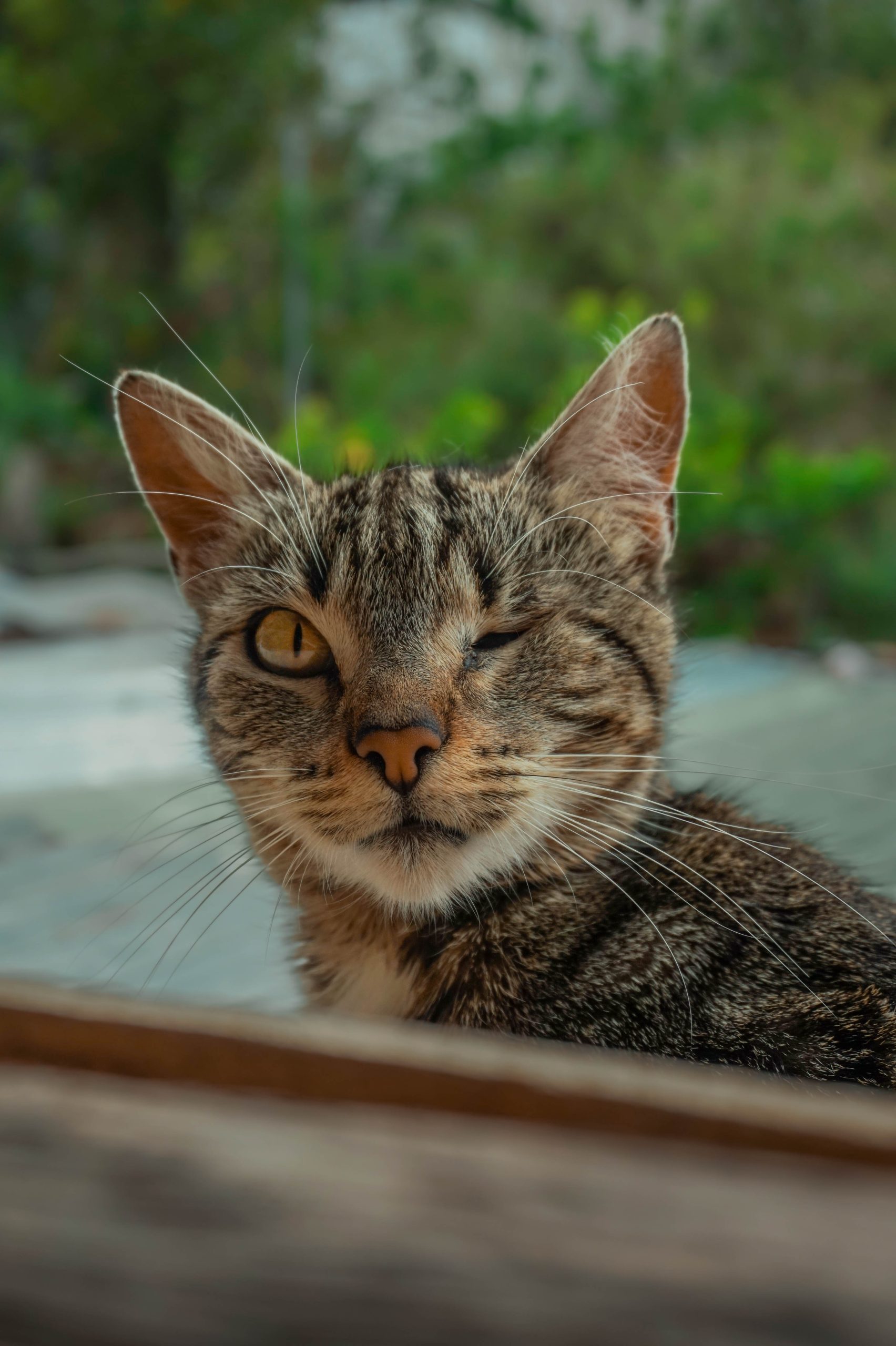 DSC00001